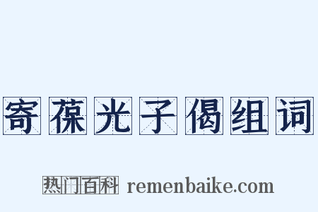 寄葆光子偈组词是什么意思的图片